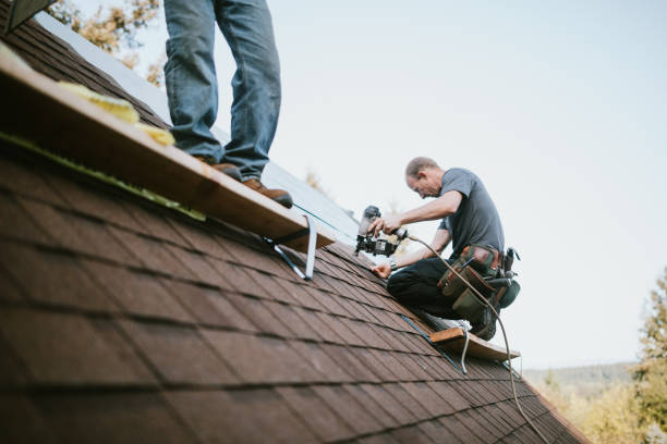 Best Metal Roofing Contractor  in Riesel, TX